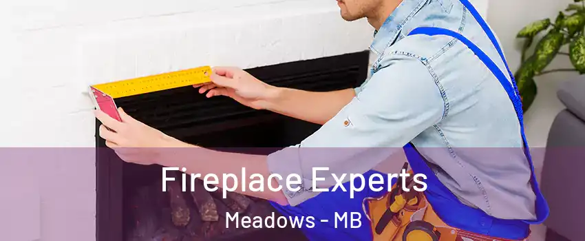  Fireplace Experts Meadows - MB