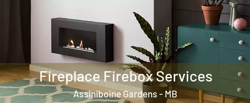 Fireplace Firebox Services Assiniboine Gardens - MB
