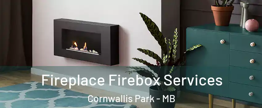  Fireplace Firebox Services Cornwallis Park - MB