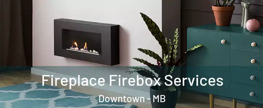  Fireplace Firebox Services Downtown - MB