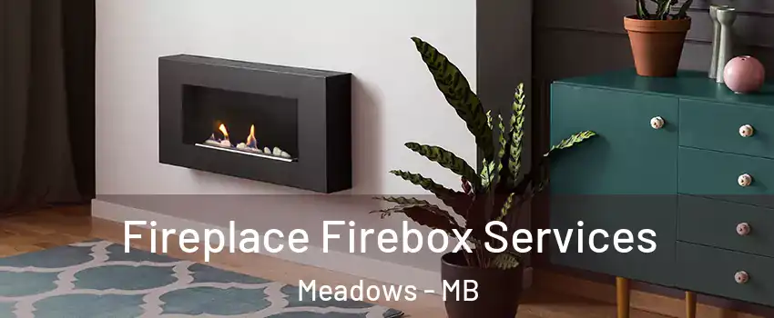  Fireplace Firebox Services Meadows - MB