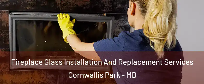  Fireplace Glass Installation And Replacement Services Cornwallis Park - MB