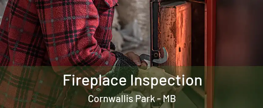  Fireplace Inspection Cornwallis Park - MB