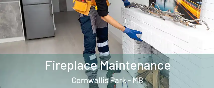  Fireplace Maintenance Cornwallis Park - MB