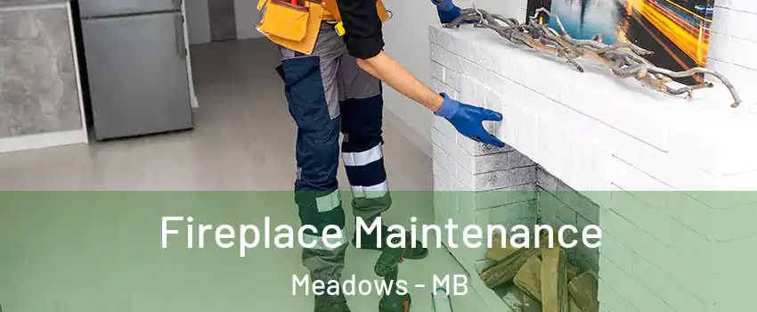  Fireplace Maintenance Meadows - MB