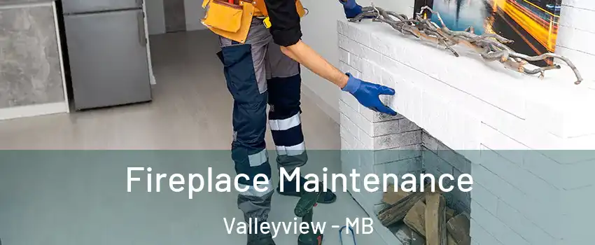  Fireplace Maintenance Valleyview - MB
