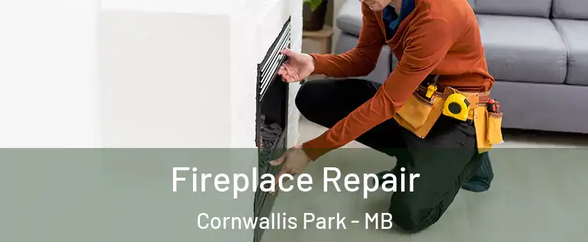  Fireplace Repair Cornwallis Park - MB