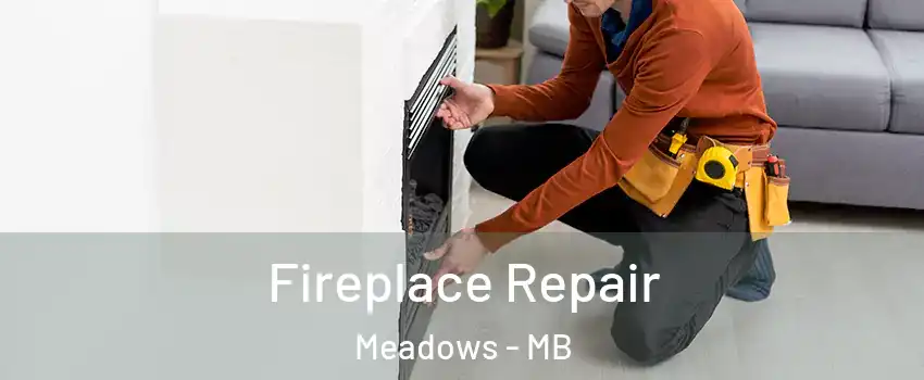  Fireplace Repair Meadows - MB