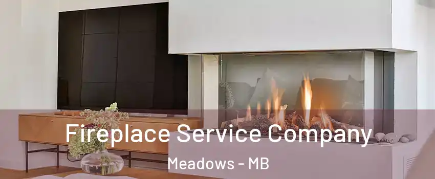  Fireplace Service Company Meadows - MB