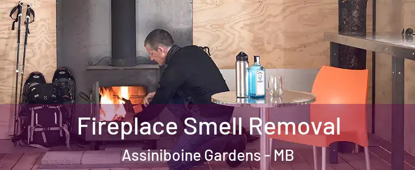  Fireplace Smell Removal Assiniboine Gardens - MB