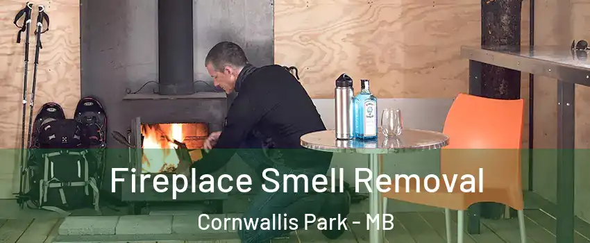  Fireplace Smell Removal Cornwallis Park - MB