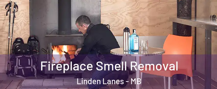  Fireplace Smell Removal Linden Lanes - MB