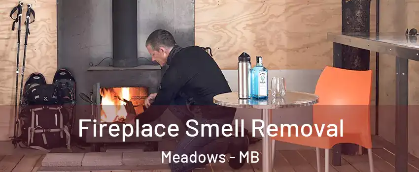  Fireplace Smell Removal Meadows - MB
