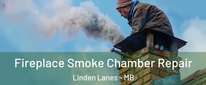  Fireplace Smoke Chamber Repair Linden Lanes - MB