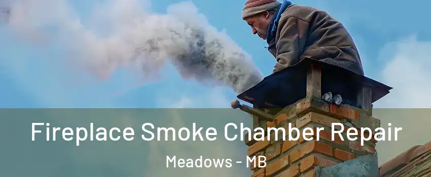  Fireplace Smoke Chamber Repair Meadows - MB