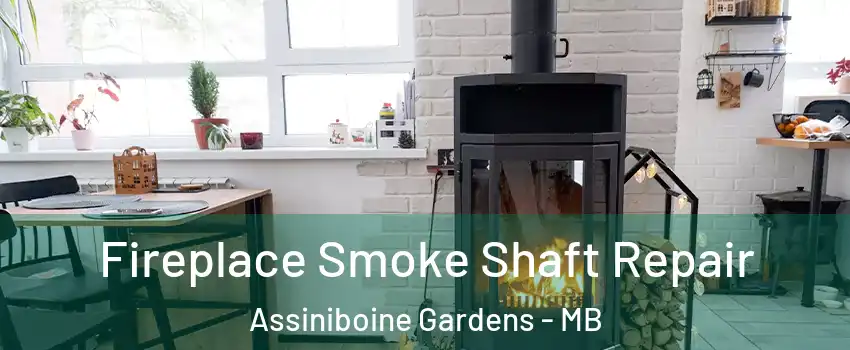  Fireplace Smoke Shaft Repair Assiniboine Gardens - MB