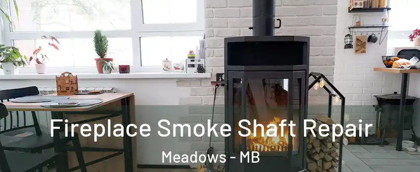  Fireplace Smoke Shaft Repair Meadows - MB