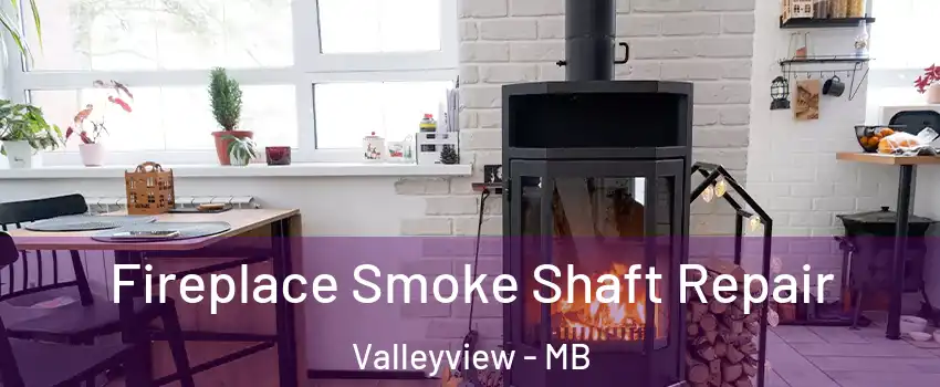  Fireplace Smoke Shaft Repair Valleyview - MB