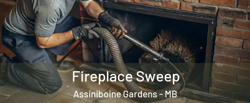  Fireplace Sweep Assiniboine Gardens - MB