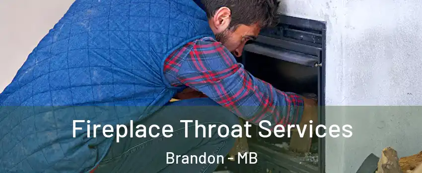  Fireplace Throat Services Brandon - MB