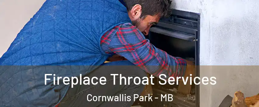  Fireplace Throat Services Cornwallis Park - MB