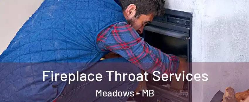  Fireplace Throat Services Meadows - MB