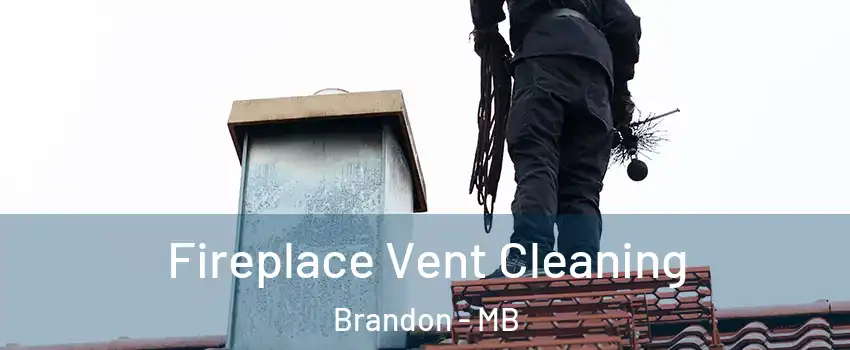  Fireplace Vent Cleaning Brandon - MB