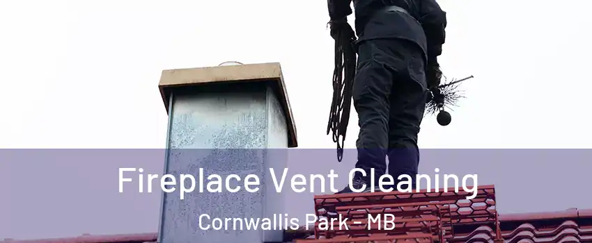  Fireplace Vent Cleaning Cornwallis Park - MB