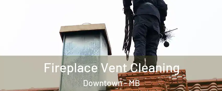  Fireplace Vent Cleaning Downtown - MB