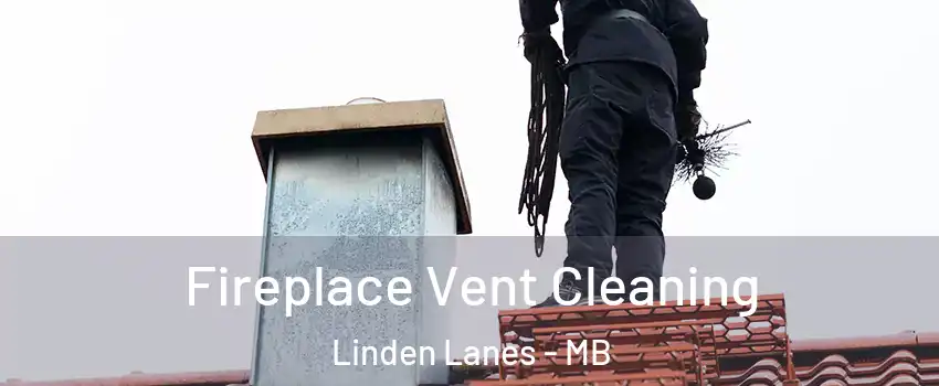  Fireplace Vent Cleaning Linden Lanes - MB