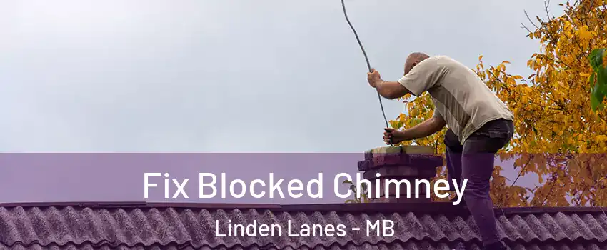  Fix Blocked Chimney Linden Lanes - MB