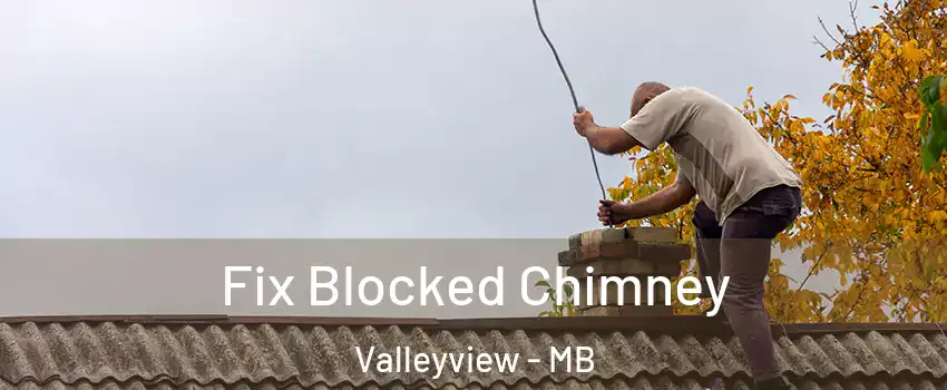  Fix Blocked Chimney Valleyview - MB