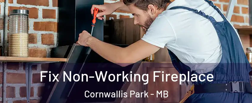  Fix Non-Working Fireplace Cornwallis Park - MB