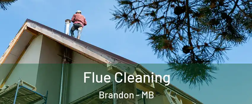  Flue Cleaning Brandon - MB