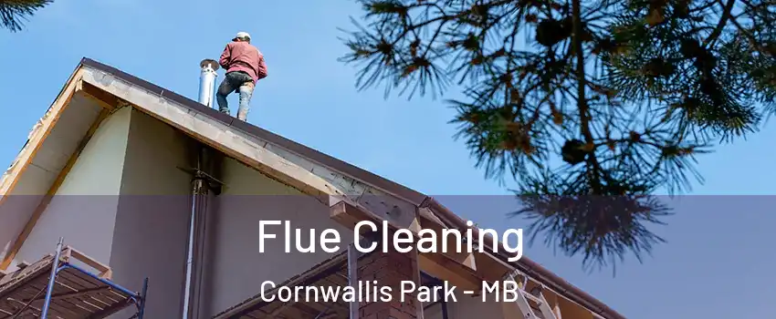  Flue Cleaning Cornwallis Park - MB