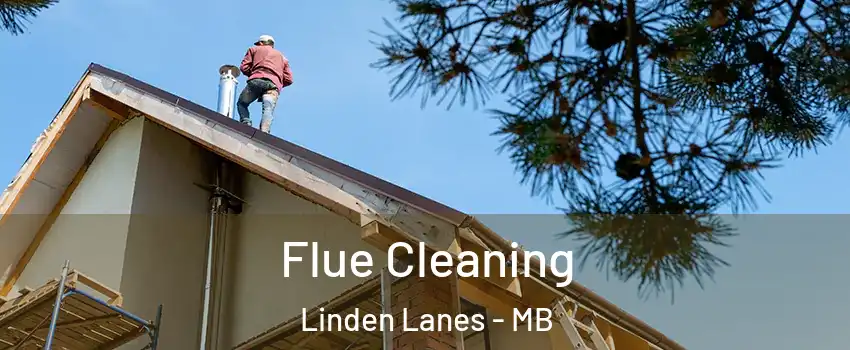  Flue Cleaning Linden Lanes - MB