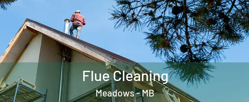  Flue Cleaning Meadows - MB