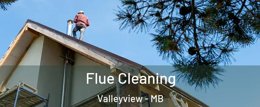  Flue Cleaning Valleyview - MB