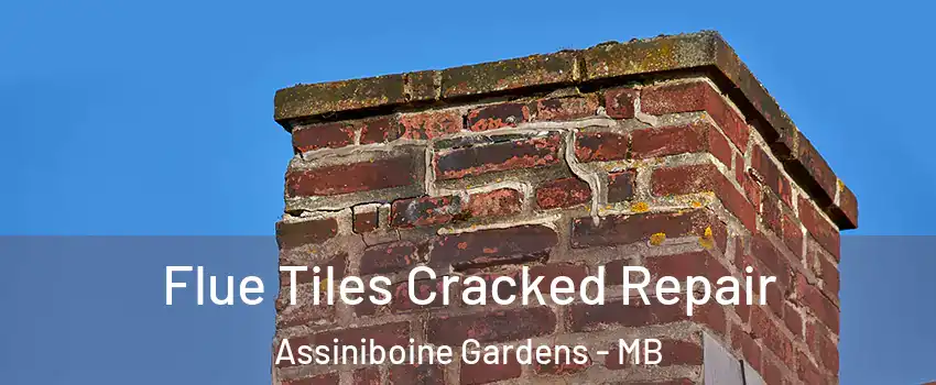  Flue Tiles Cracked Repair Assiniboine Gardens - MB