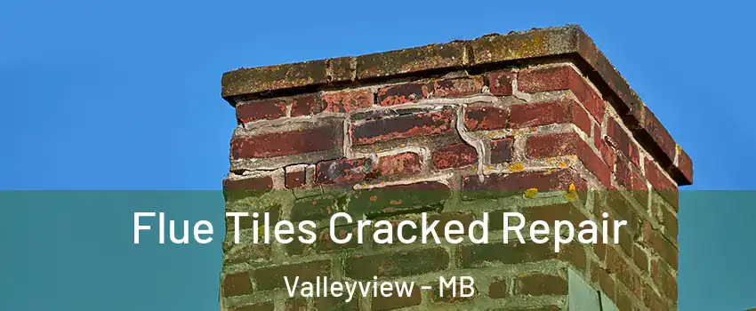  Flue Tiles Cracked Repair Valleyview - MB