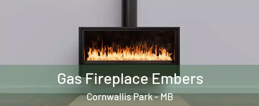  Gas Fireplace Embers Cornwallis Park - MB