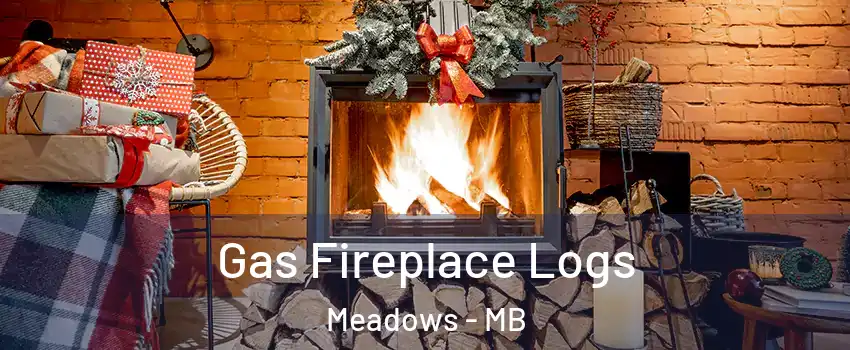  Gas Fireplace Logs Meadows - MB