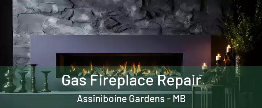  Gas Fireplace Repair Assiniboine Gardens - MB