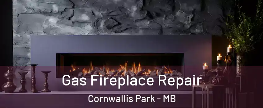  Gas Fireplace Repair Cornwallis Park - MB