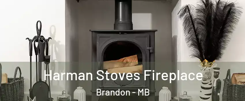 Harman Stoves Fireplace Brandon - MB