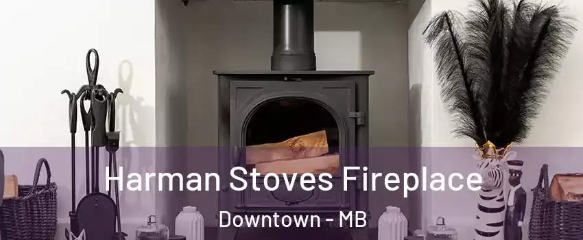  Harman Stoves Fireplace Downtown - MB