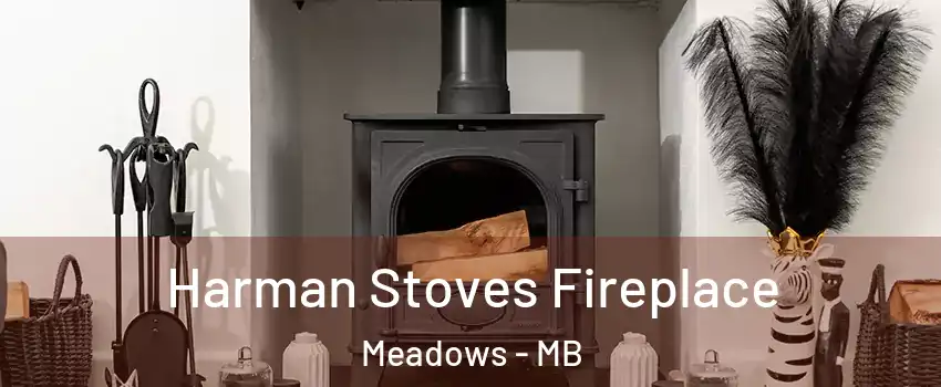  Harman Stoves Fireplace Meadows - MB