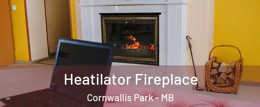  Heatilator Fireplace Cornwallis Park - MB