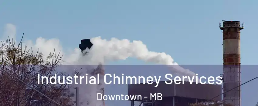  Industrial Chimney Services Downtown - MB