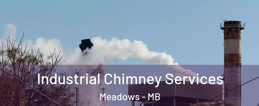  Industrial Chimney Services Meadows - MB
